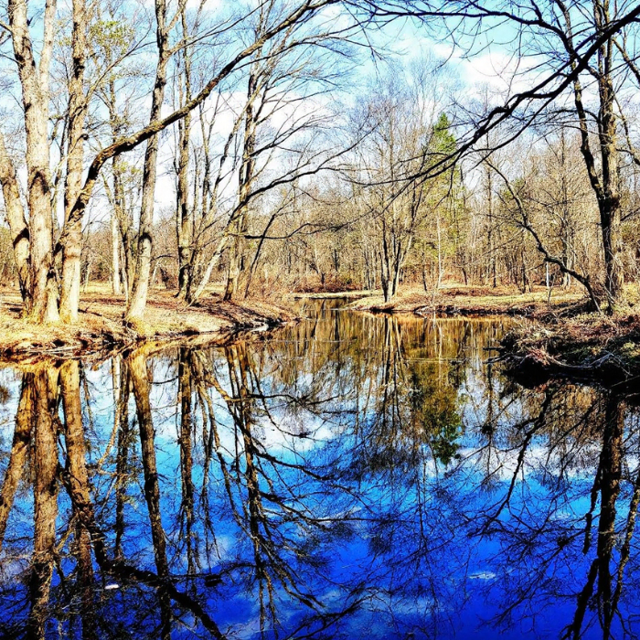 Why Chestnut Branch Park, NJ is Gloucester County’s Best Kept Secret